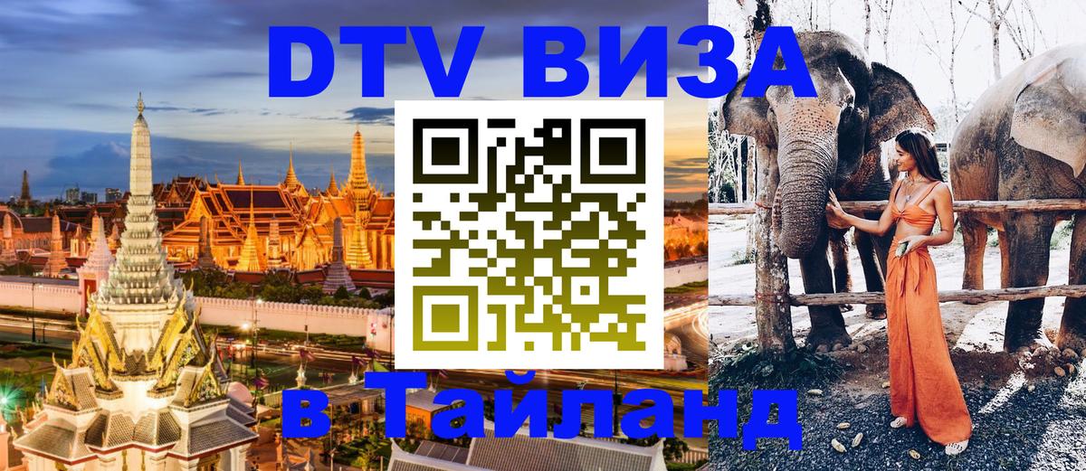 Сколько стоит DTV виза — актуальные цены, оформление даже без документов - 20.11.2025 